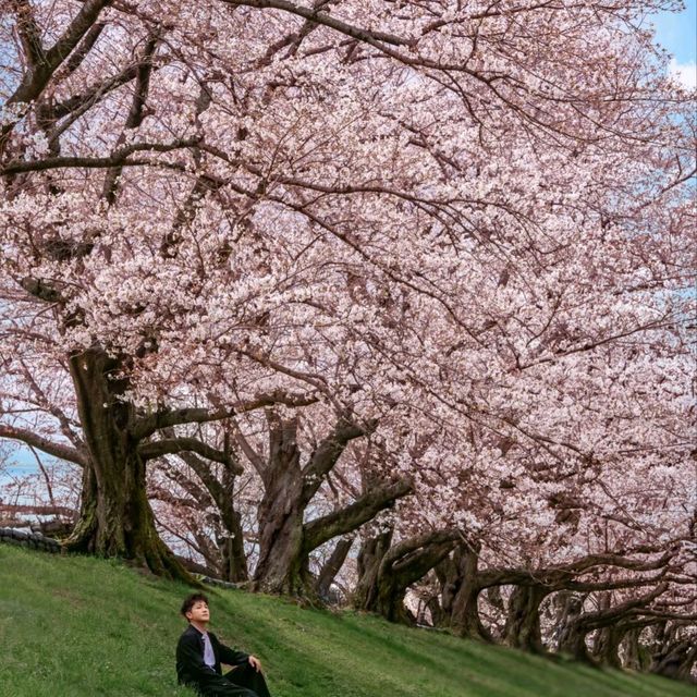 霓虹國出片聖地✨日本必打卡景點攻略