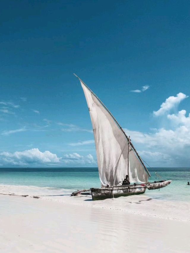 **🌺 Enjoy the Amazing Beauty of Zanzibar 🌊**