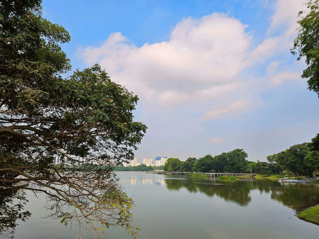 Jurong Lake Gardens