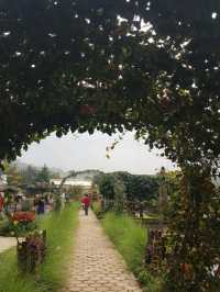 MUST VISIT : BEGONIA GARDEN, BANDUNG