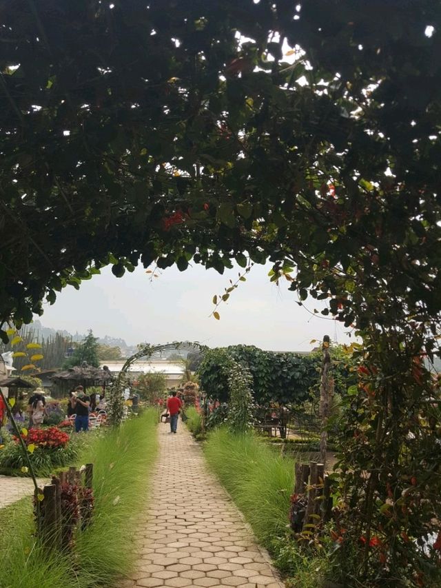 MUST VISIT : BEGONIA GARDEN, BANDUNG