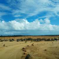 **A Journey Through the Pinnacles: Nature’s Spectacular Masterpiece**