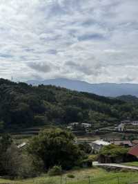 【伊東】ドライブしてみよう！The 田舎の風景の中で森林浴