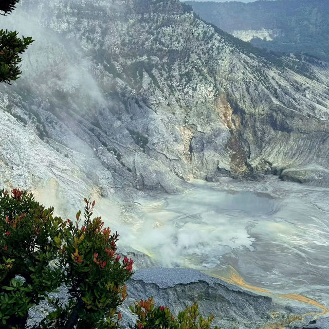 Journey to Tangkuban Perahu: Exploring the Majestic Volcano of West Java