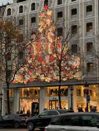 Christmas in Paris: A Festive Wonderland