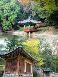 Autumn Serenity: Exploring the Secret Garden of Changdeokgung