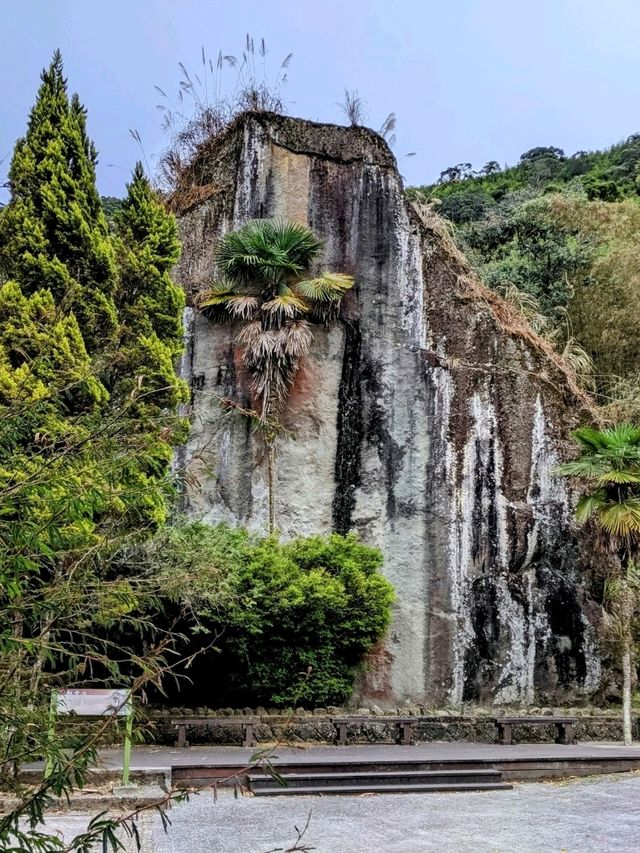 漫步奮起湖森林步道：小百岳大凍山