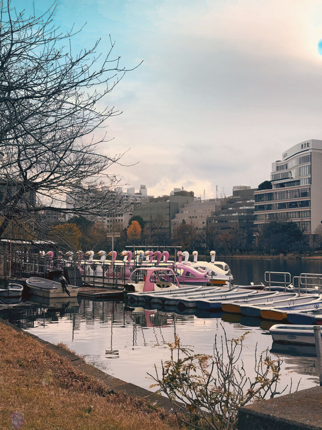 Ueno park in winter❄️