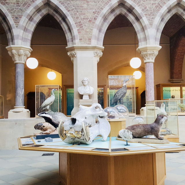 Unearth Wonders at the Oxford University Natural History Museum