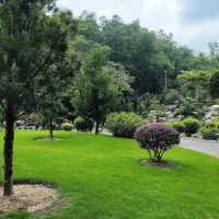 仙湖植物園（Xianhu Botanical Garden）：自然與生態的美麗結合