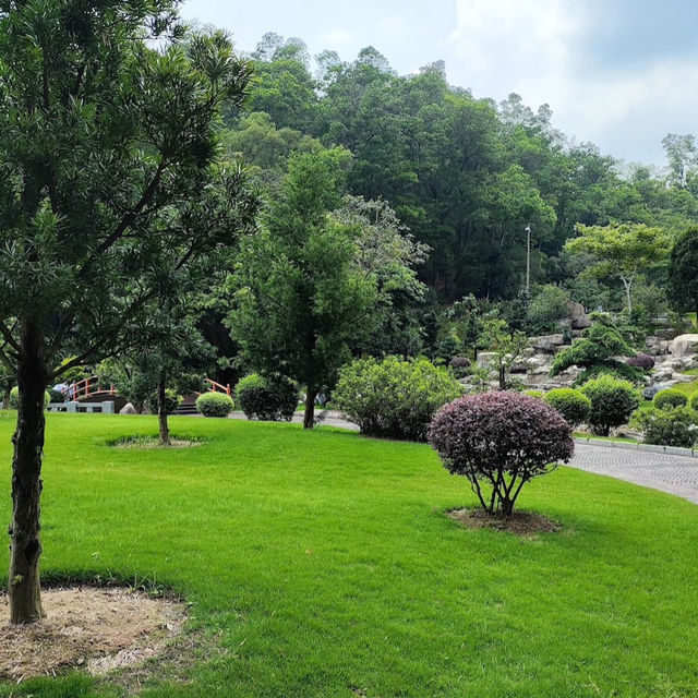 仙湖植物園（Xianhu Botanical Garden）：自然與生態的美麗結合