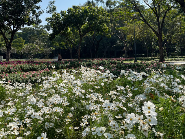 Suan Luang Rama IX Park