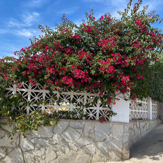 Beautiful gardens of Malaga 🇪🇸