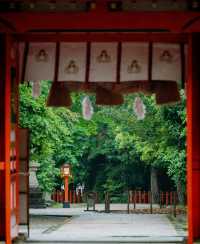 探索熊野秘境三大神社打卡攻略