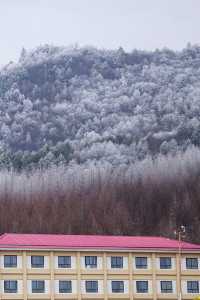 湖北人有自己的雪國冬遊神農架2天1夜攻略