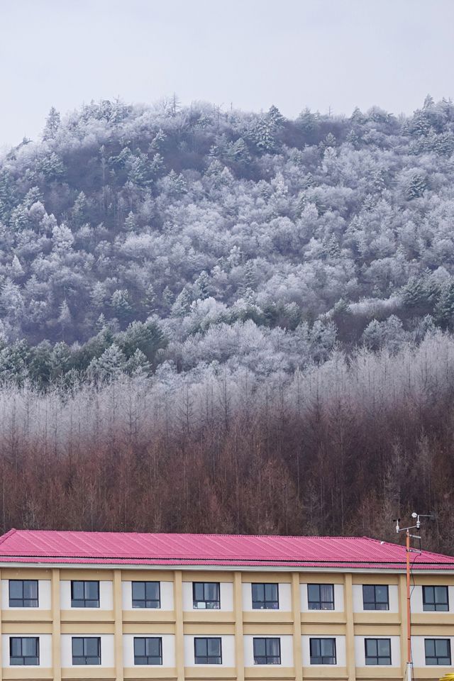 湖北人有自己的雪國冬遊神農架2天1夜攻略