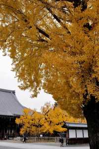 西本願寺