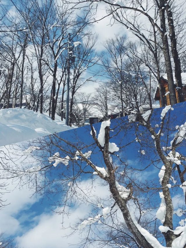 一定要來一次雪二世谷！！！