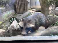 中國開放最早的動物園——北京動物園