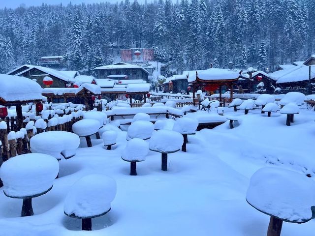 雪鄉溜達一圈，一個詞「過癮」。