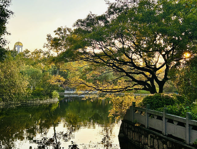 上海小眾的閘北公園是個安靜的美男子。