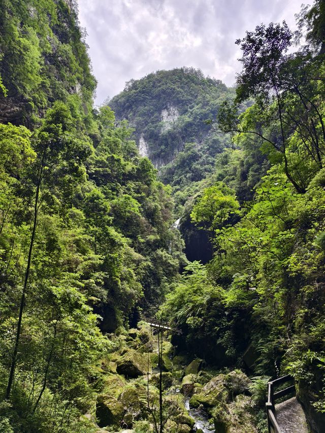 重慶2日遊 熱門景點一網打盡。