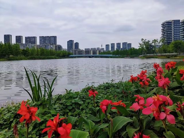 寧波明湖公園