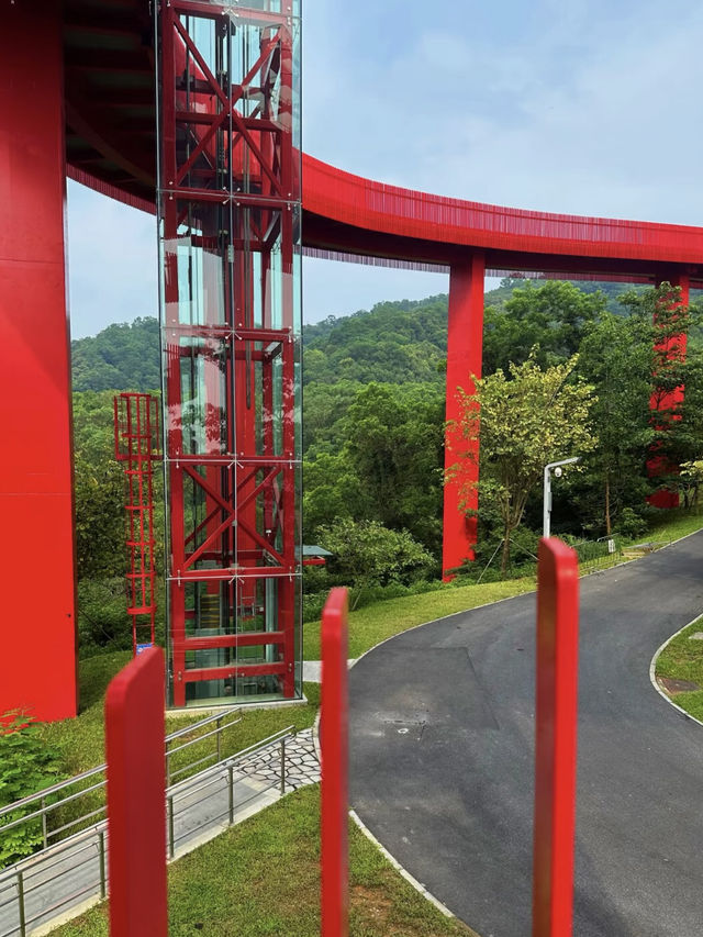 紅橋倩影：光明紅橋公園漫步記