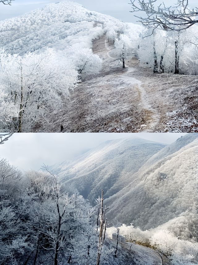 龍王山|我身體的每個朝向都是遠方