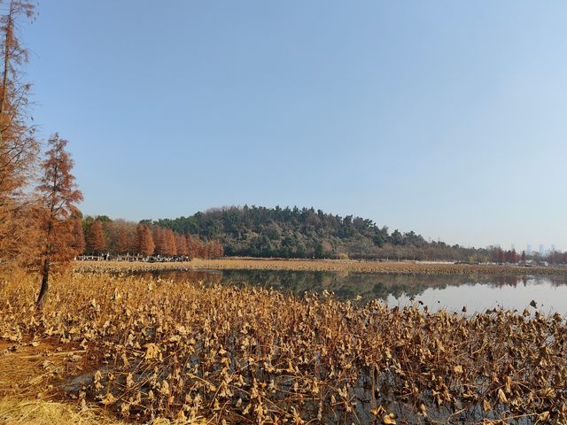 在龍靈山生態公園迎接2025新年第一天