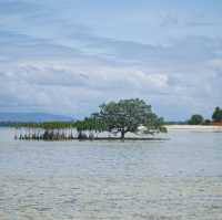 Bohol: Nature’s Paradise in the Philippines