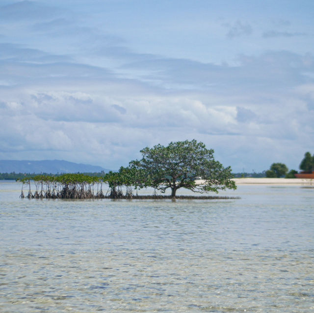 Bohol: Nature’s Paradise in the Philippines