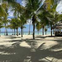 Bohol: Nature’s Paradise in the Philippines