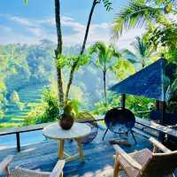 🌲 Bukit Bintang Banyan Tree 🌲 Resort in Bali 🌲 is definitely the ideal choice