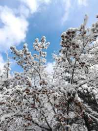 遼寧|•本溪•鐵剎山•看別樣的冬日雪景