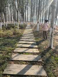 充盈生命活力之金銀湖濕地公園