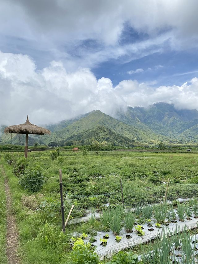 Beautiful Sembalun, Lombok