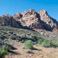 Las Vegas 🇺🇸 Beautiful rock formation at Red Rock Canyon! 