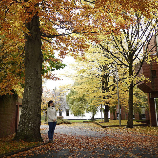 Wake me up when autumn comes to Ireland