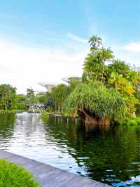 Discover the Beauty of Gardens by the Bay