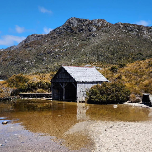 Stars: Cradle Mountain's Majestic Splendor!