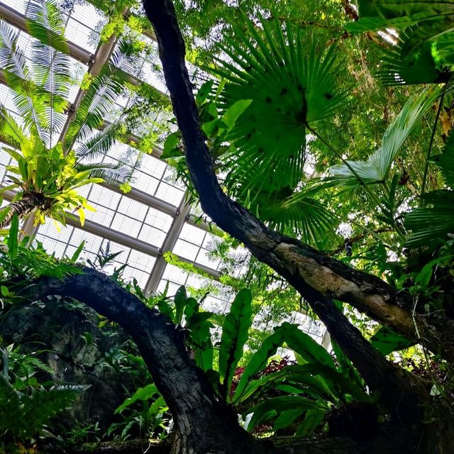 Indoor Park Filled with Butterflies in Penang 