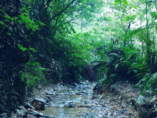  廣州從化龍潭水庫天坑：一場與自然親密接觸的探險