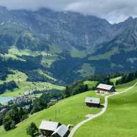 Engelberg's natural beauty 🌲