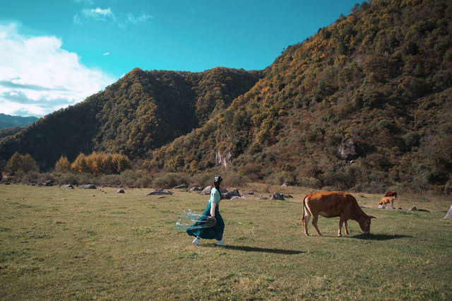 秦嶺秘境紅葉盛宴