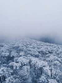 次看到蒼山雪了，感受到了生命的大自在