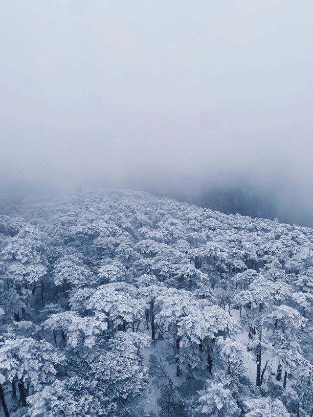 次看到蒼山雪了，感受到了生命的大自在