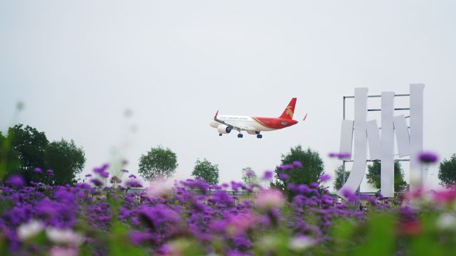 蘭州中川機場臨港花海