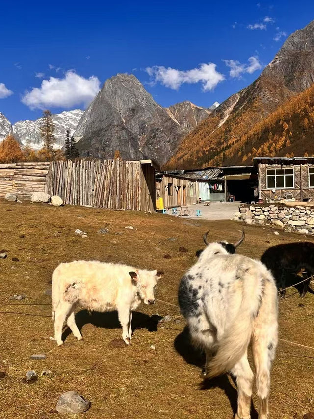 Sifang Mountain: An Unforgettable Hiking Experience in Yunnan