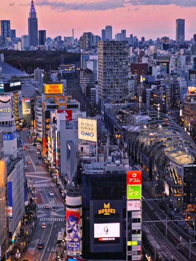 Shibuya Corpse Siege SKY VIEW❤